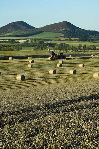 Farm Images